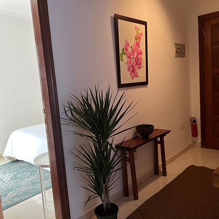 Cozy Appartement Santa Cruz de Tenerife Buitenkant foto
