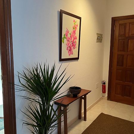 Cozy Appartement Santa Cruz de Tenerife Buitenkant foto