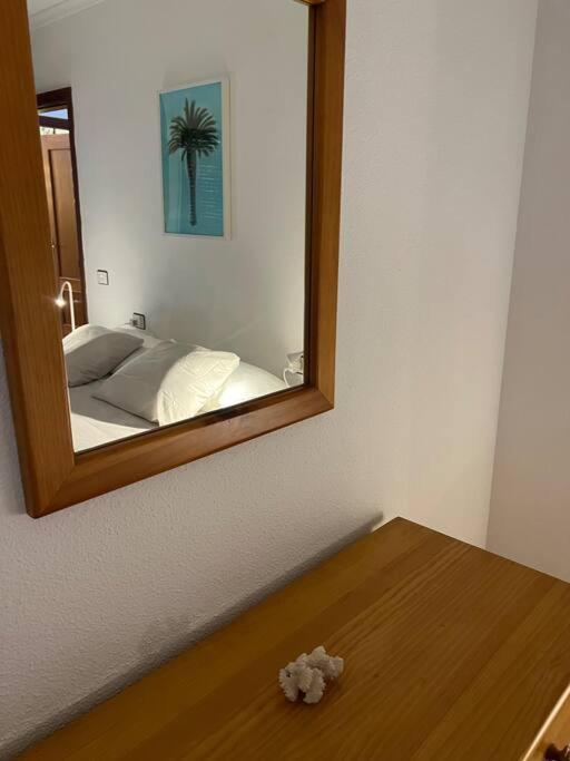 Cozy Appartement Santa Cruz de Tenerife Buitenkant foto
